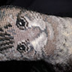 Meet your Posher, Wes